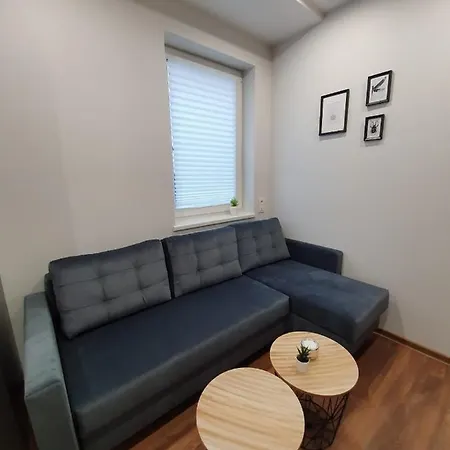 Oak House 4* 考纳斯