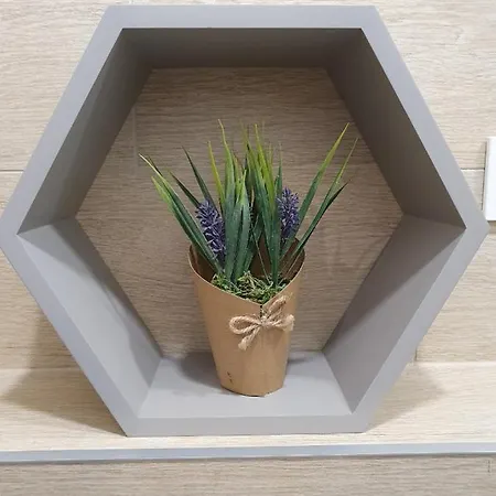 Apartamentų viešbutis Oak House Kaunas