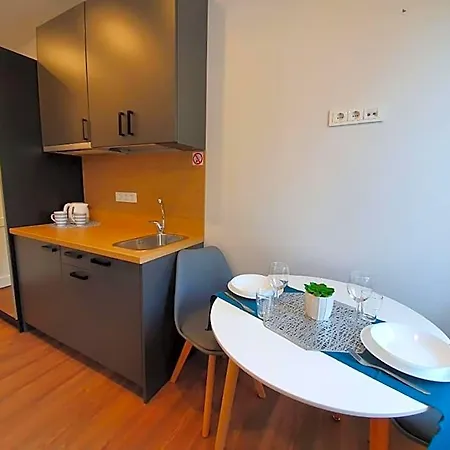 Oak House 公寓式酒店 考纳斯