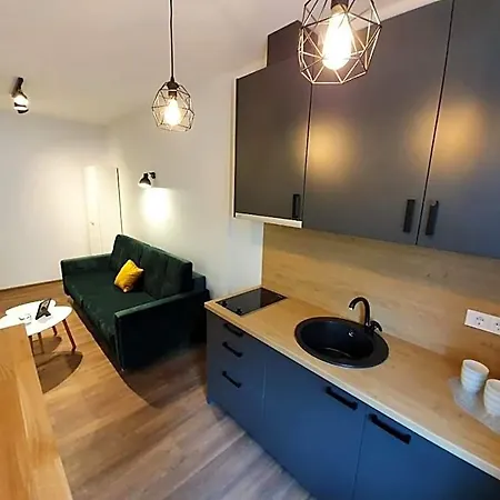 公寓式酒店 Oak House 考纳斯