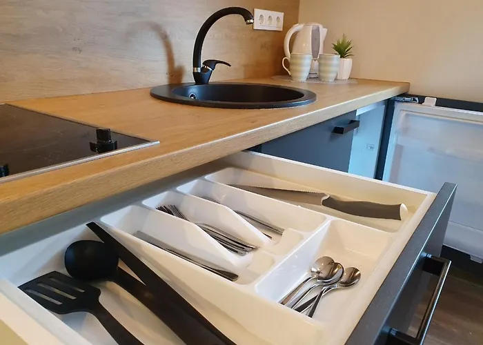 Oak House 3* カウナス