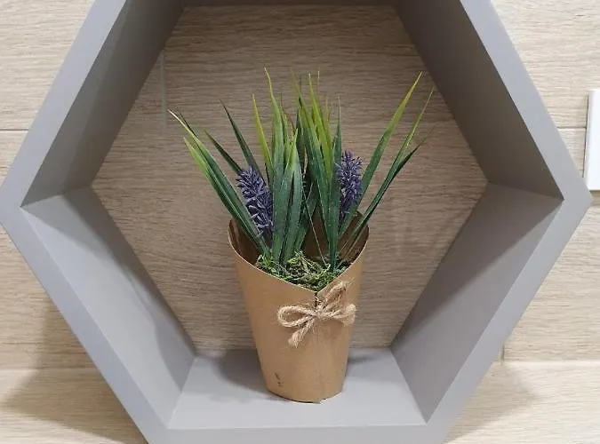 Lägenhetshotell Oak House Kaunas